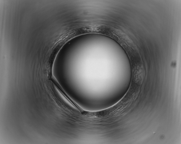 X0000098200747200805011146
