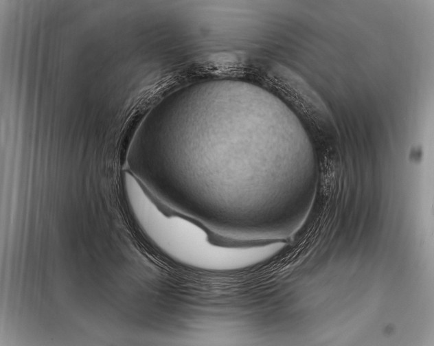 X0000098200748200805011146