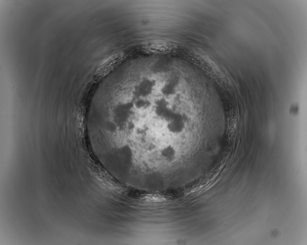 X0000098200749200805011146