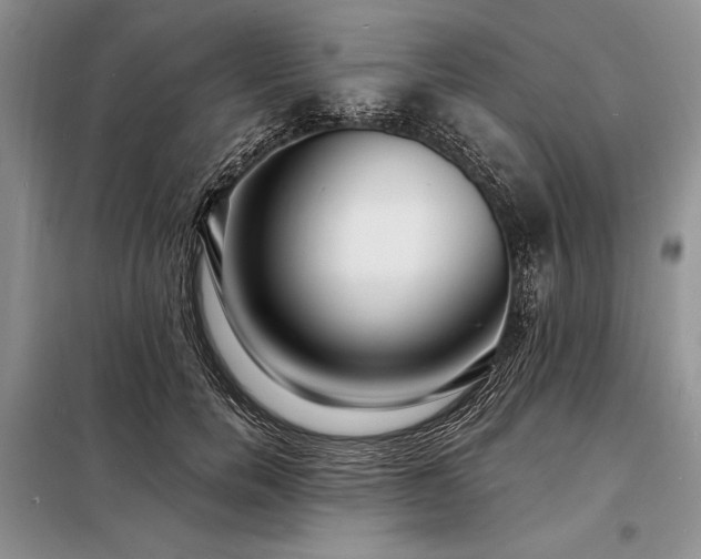 X0000098200750200805011146