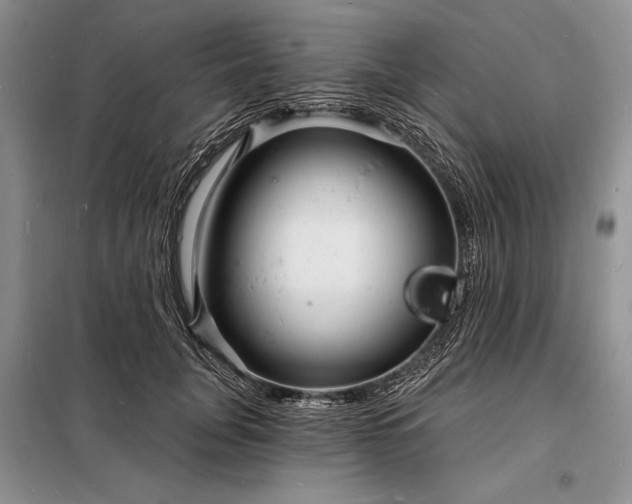 X0000098200751200805011146
