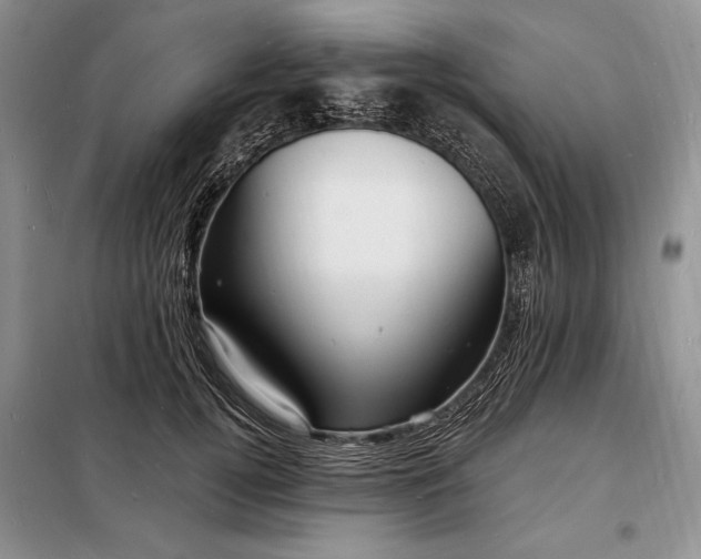 X0000098200752200805011146