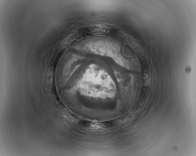 X0000098200753200805011146