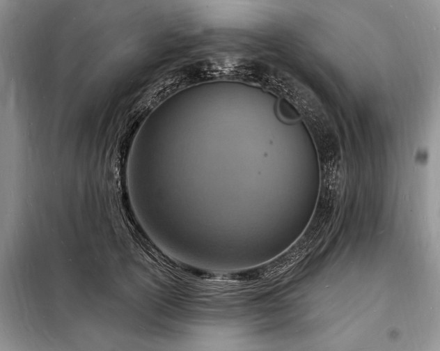 X0000098200754200805011146