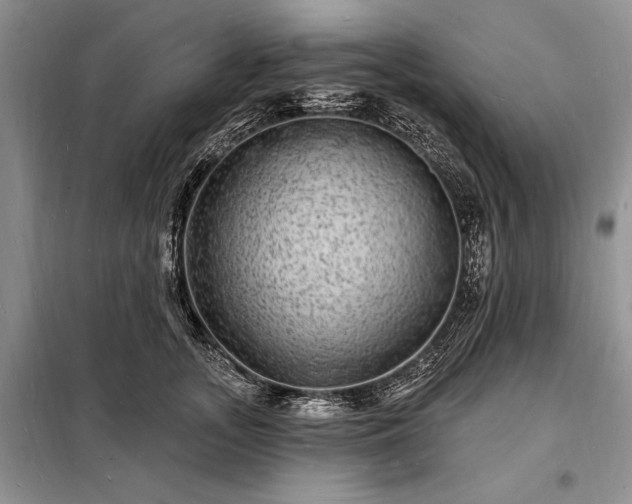 X0000098200755200805011146