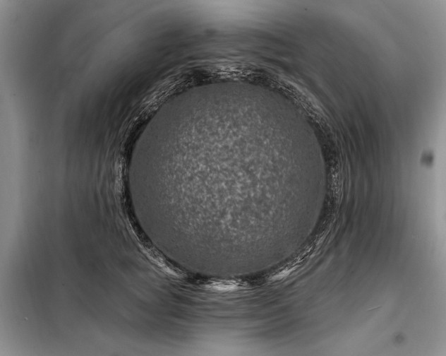X0000098200757200805011146