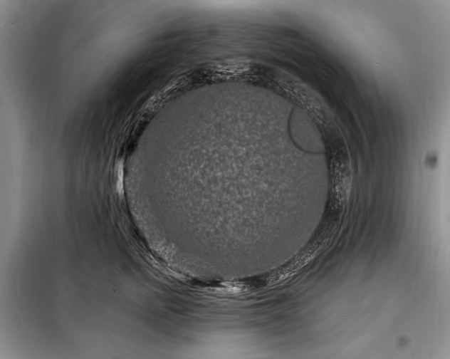 X0000098200758200805011146