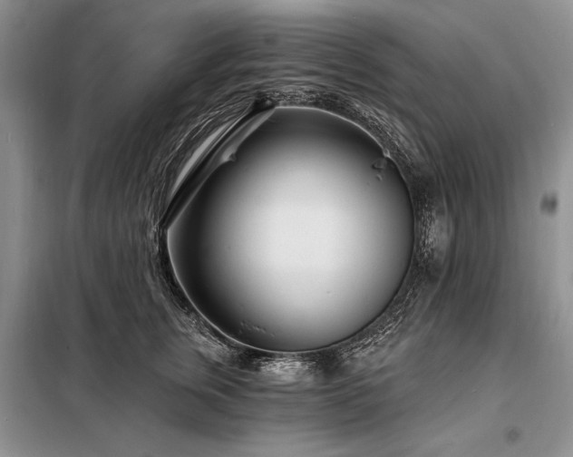 X0000098200759200805011146