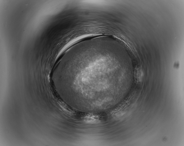 X0000098200760200805011146