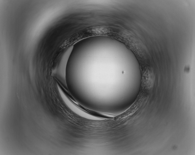 X0000098200762200805011146