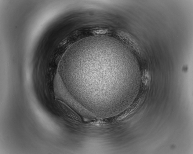 X0000098200763200805011146