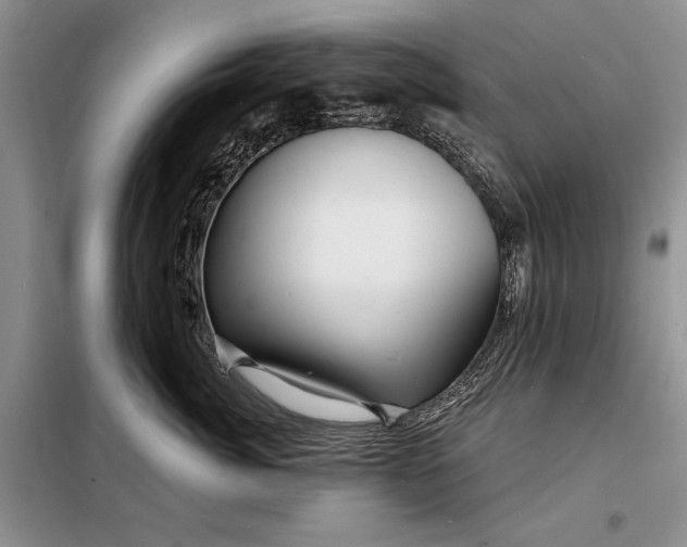 X0000098200764200805011146