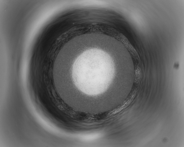 X0000098200765200805011146