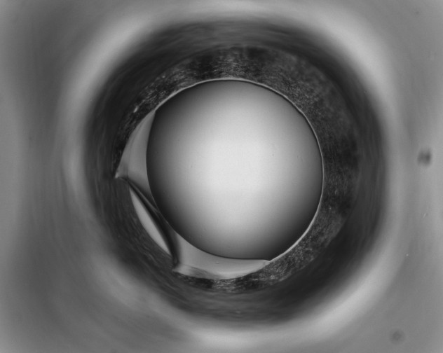 X0000098200766200805011146