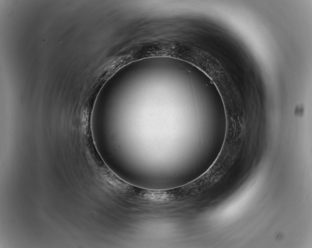 X0000098200767200805011146