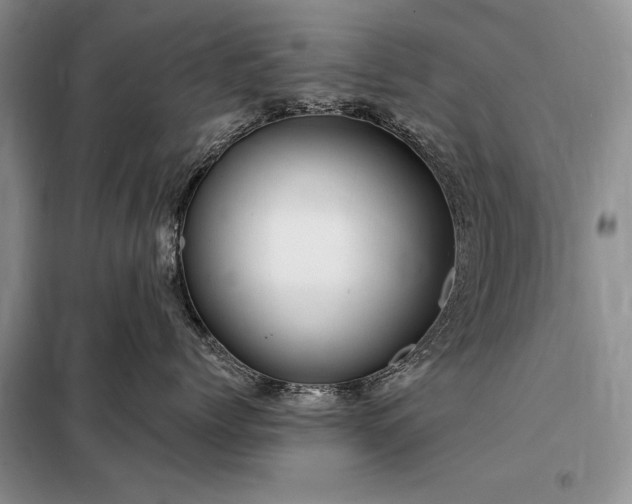 X0000098200768200805011146