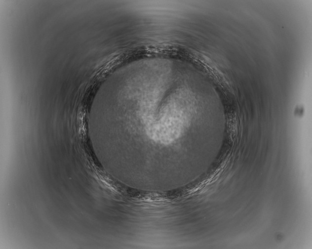 X0000098200770200805011146
