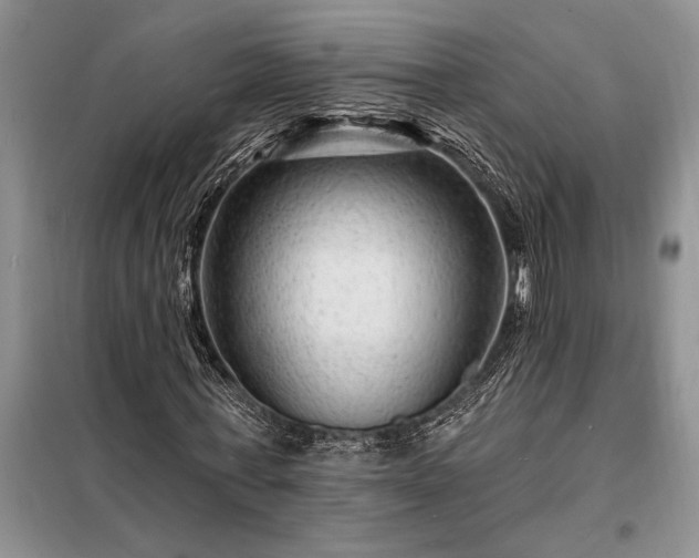 X0000098200771200805011146