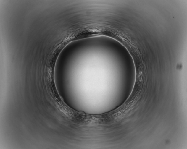 X0000098200772200805011146