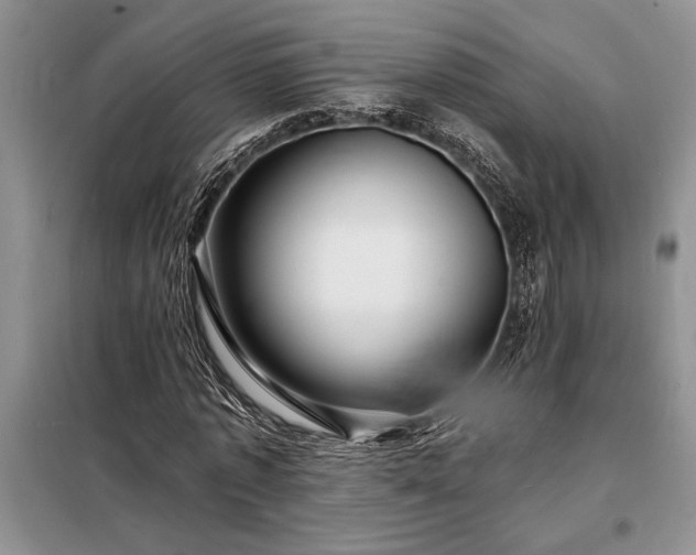 X0000098200773200805011146