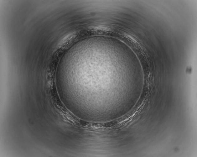 X0000098200774200805011146