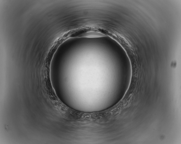 X0000098200776200805011146