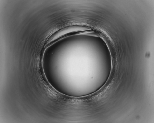 X0000098200777200805011146