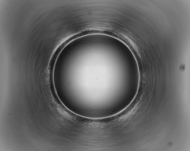 X0000098200779200805011146