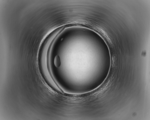 X0000098200780200805011146