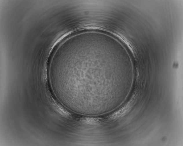 X0000098200782200805011146