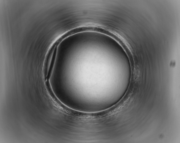 X0000098200783200805011146