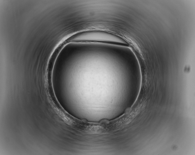 X0000098200784200805011146
