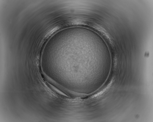 X0000098200785200805011146