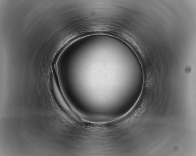 X0000098200786200805011146