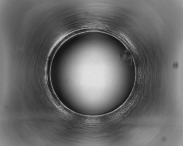 X0000098200788200805011146
