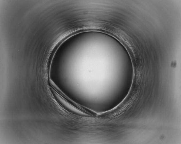 X0000098200789200805011146