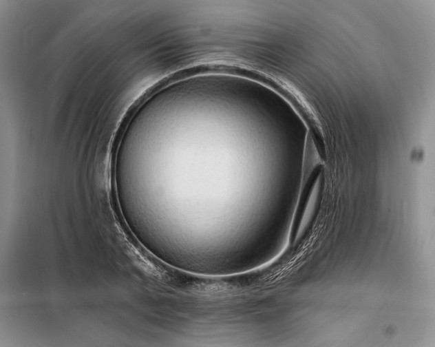 X0000098200791200805011146