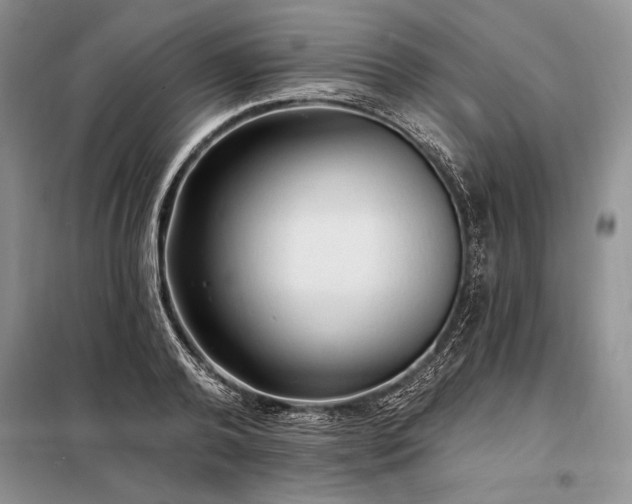 X0000098200792200805011145