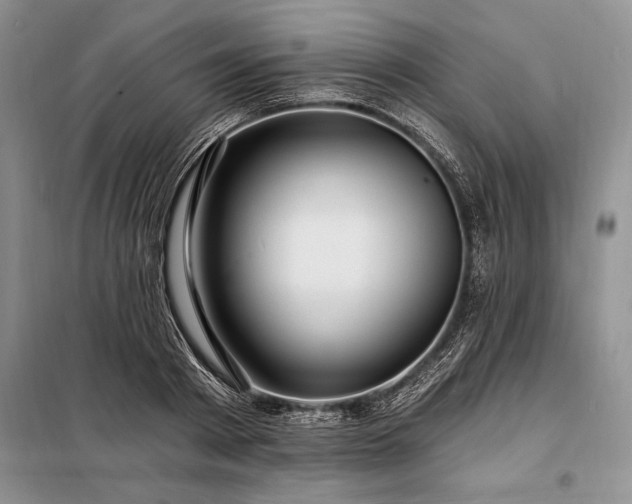 X0000098200793200805011145