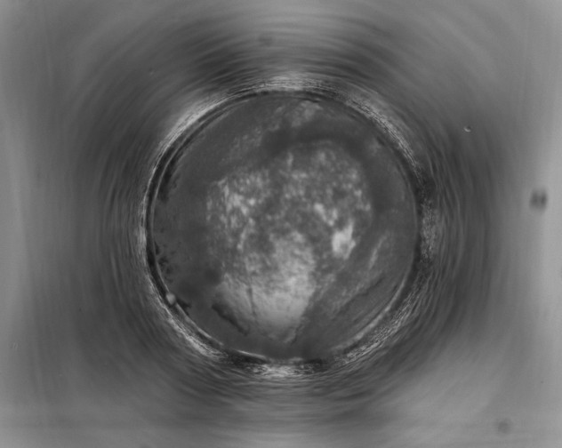 X0000098200794200805011145