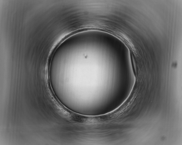 X0000098200796200805011145