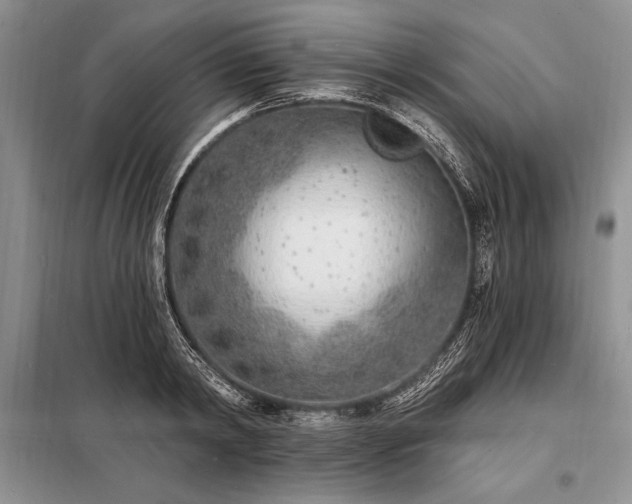 X0000098200798200805011145