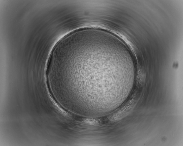 X0000098200799200805011145