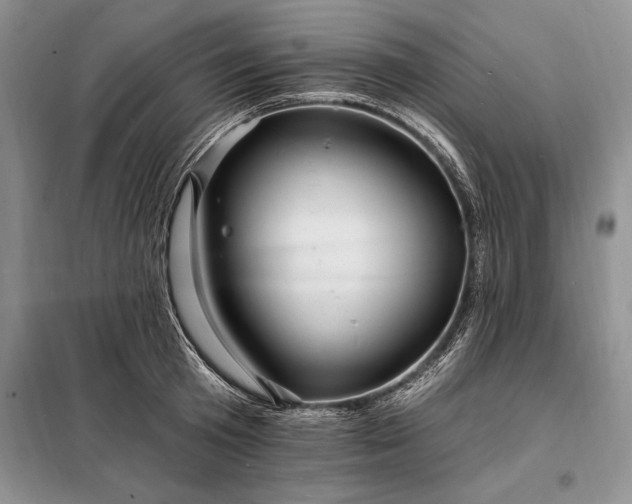 X0000098200801200805011145