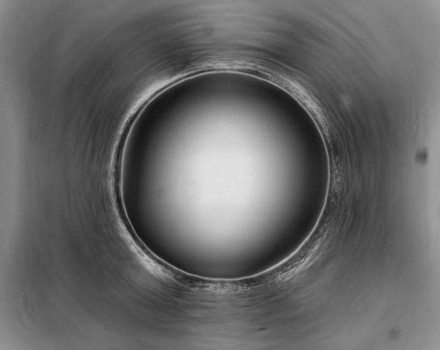 X0000098200803200805011145