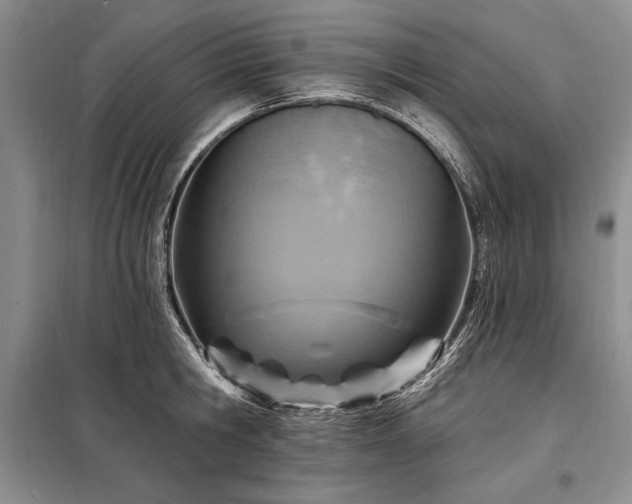 X0000098200806200805011145