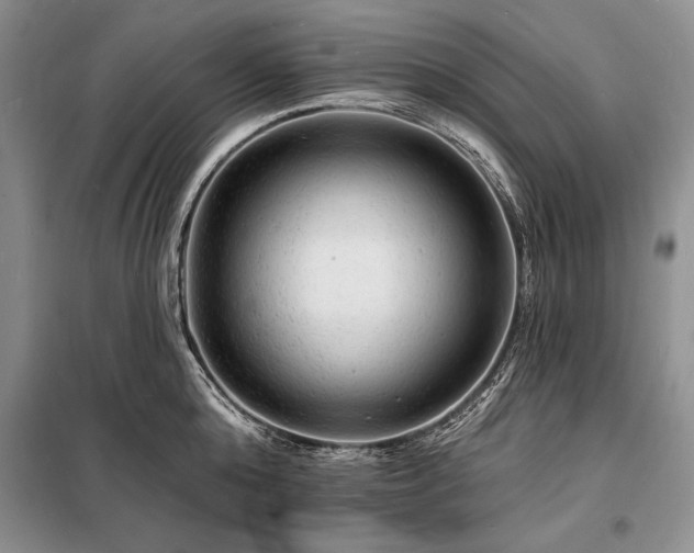 X0000098200808200805011145