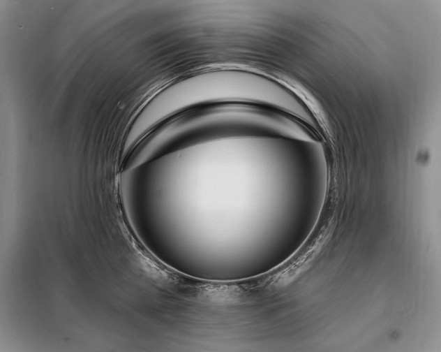 X0000098200809200805011145