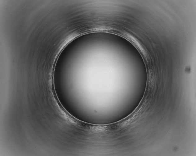 X0000098200810200805011145
