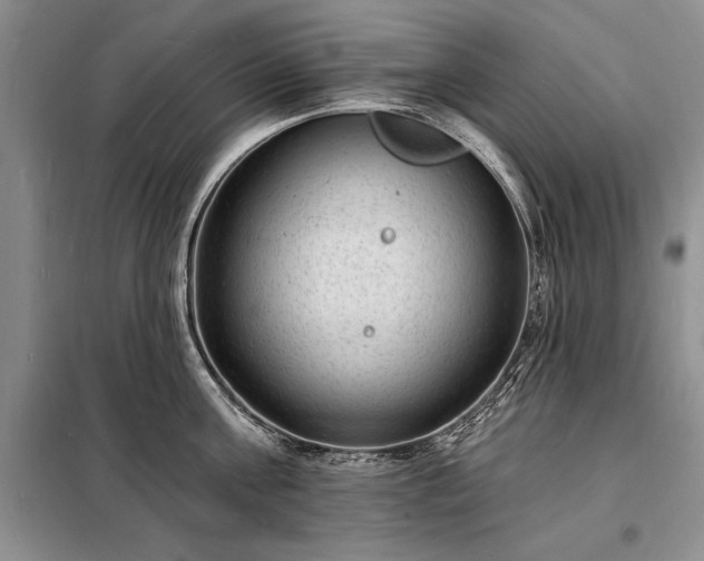 X0000098200811200805011145